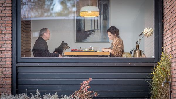 Produktbild: Und wer nimmt den Hund?