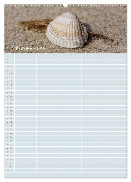 Produktbild: Kleine Sand-Sch&ouml;nheiten / Familienplaner (Wandkalender 2026 DIN A2 hoch), CALVENDO Monatskalender