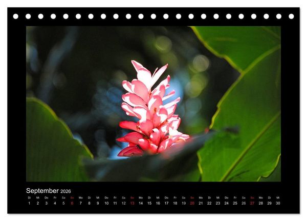 Produktbild: Aloha Bl&uuml;tenzauber aus Hawaii (Tischkalender 2026 DIN A5 quer), CALVENDO Monatskalender
