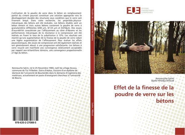 Produktbild: Effet de la finesse de la poudre de verre sur les b&eacute;tons