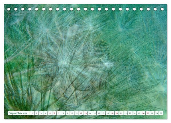 Produktbild: GR&Uuml;N . Die Kraft der Natur (Tischkalender 2026 DIN A5 quer), CALVENDO Monatskalender