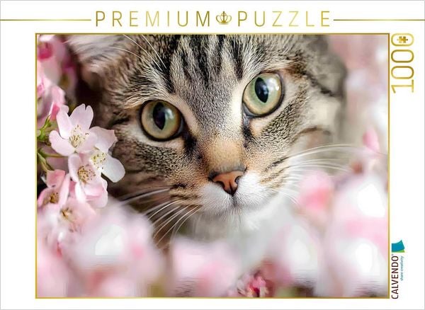 Produktbild: CALVENDO Puzzle Wundersch&ouml;ne Tigerkatze im Fr&uuml;hling | 1000 Teile Lege-Gr&ouml;&szlig;e 64x48cm Foto-Puzzle f&uuml;r gl&uuml;ckliche Stunden