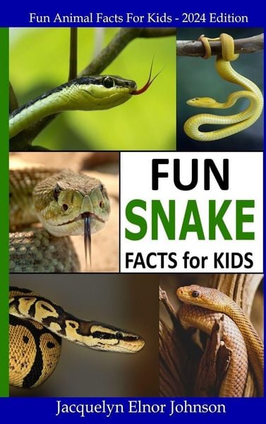 Produktbild: Fun Snake Facts for Kids