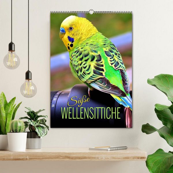 Produktbild: S&uuml;&szlig;e Wellensittiche (Wandkalender 2026 DIN A2 hoch), CALVENDO Monatskalender