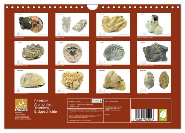 Produktbild: Fossilien - Ammoniten, Trilobiten, Erdgeschichte (Wandkalender 2026 DIN A4 quer), CALVENDO Monatskalender