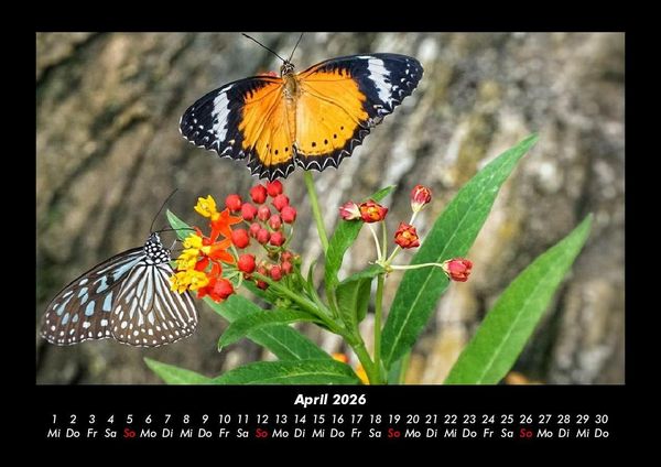 Produktbild: Unser Heimatplanet 2026 Fotokalender DIN A3