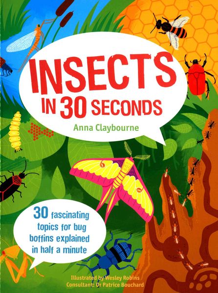 Produktbild: Claybourne, A: Insects in 30 Seconds