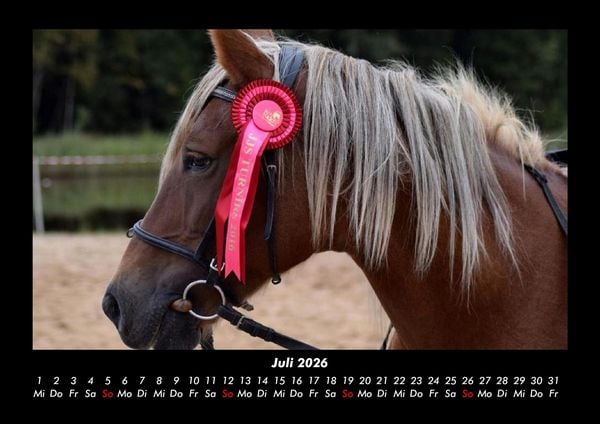 Produktbild: Pferde Kalender 2026 Fotokalender DIN A3