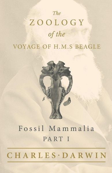 Produktbild: Fossil Mammalia - Part I - The Zoology of the Voyage of H.M.S Beagle ; Under the Command of Captain Fitzroy - During the Years 1832 to 1836