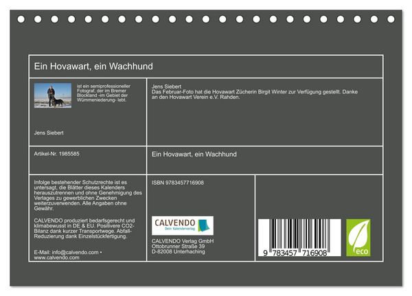 Produktbild: Ein Hovawart, ein Wachhund (Tischkalender 2026 DIN A5 quer), CALVENDO Monatskalender