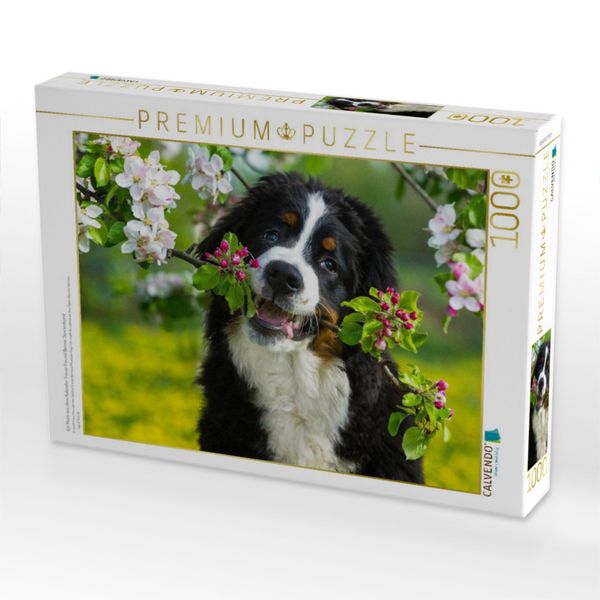 Produktbild: CALVENDO Puzzle Ein Motiv aus dem Kalender Treuer Freund Berner Sennenhund | 1000 Teile Lege-Gr&ouml;&szlig;e 64x48cm Foto-Puzzle f&uuml;r gl&uuml;ckliche Stunden