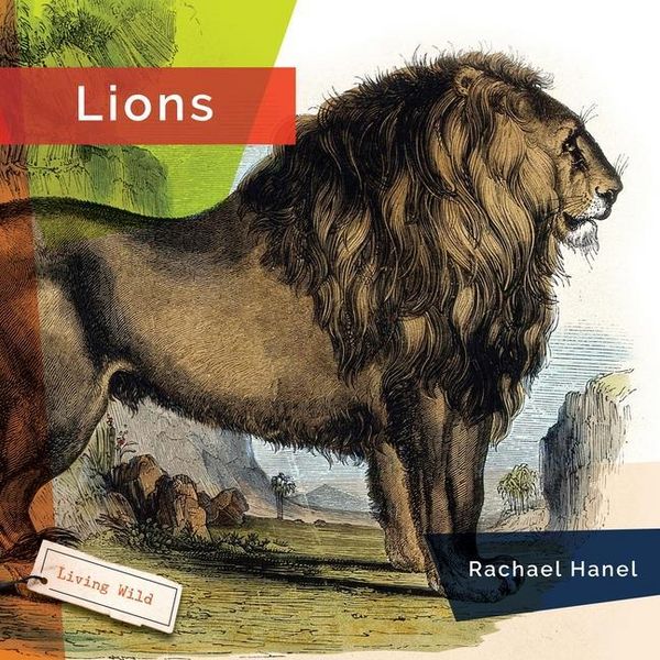 Produktbild: Lions