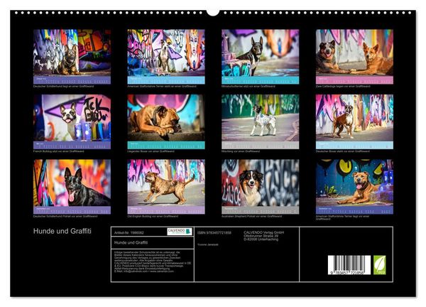 Produktbild: Hunde und Graffiti (hochwertiger Premium Wandkalender 2026 DIN A2 quer), Kunstdruck in Hochglanz