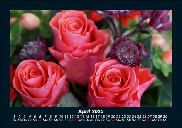 Produktbild: Rosen-Kalender 2025 Fotokalender DIN A5