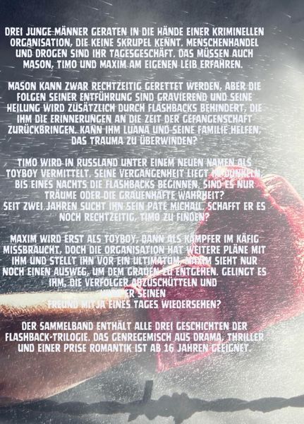 Produktbild: Die Organisation-Flashback-Trilogie