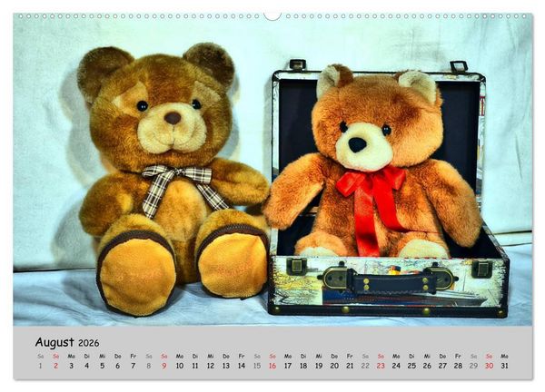 Produktbild: TEDDYB&Auml;R, OH TEDDYB&Auml;R... (hochwertiger Premium Wandkalender 2026 DIN A2 quer), Kunstdruck in Hochglanz
