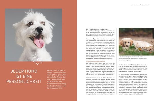 Produktbild: Typgerechtes Welpentraining