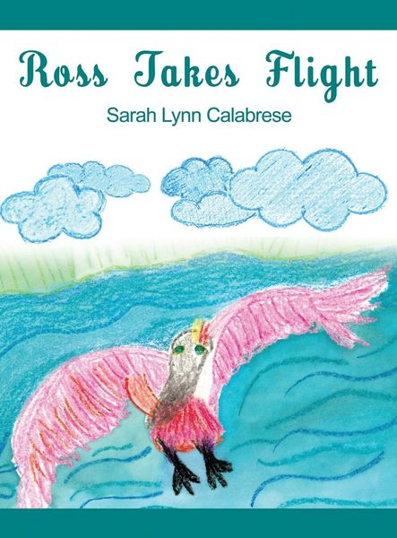Produktbild: Ross Takes Flight
