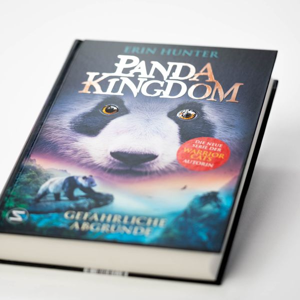 Produktbild: Panda Kingdom - Gef&auml;hrliche Abgr&uuml;nde