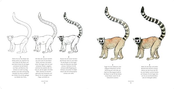 Produktbild: Zeichenschule Wildtiere