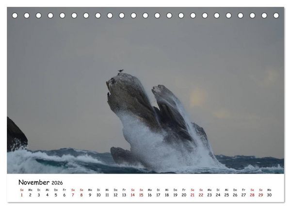 Produktbild: Bretagne. D&eacute;partement Finist&egrave;re - C&ocirc;te des Abers (Tischkalender 2026 DIN A5 quer), CALVENDO Monatskalender