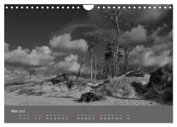 Produktbild: Ostsee - von schwarz bis wei&szlig; (Wandkalender 2027 DIN A4 quer), CALVENDO Monatskalender