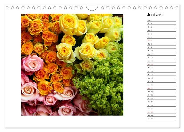 Produktbild: Die vielen Gesichter der Rosen (Wandkalender 2026 DIN A4 quer), CALVENDO Monatskalender