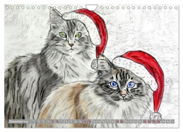 Produktbild: Beautiful cat portraits (Wall Calendar 2026 DIN A4 landscape), CALVENDO 12 Month Wall Calendar