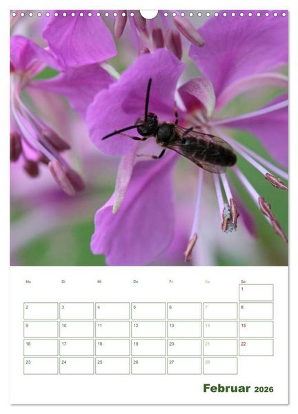 Produktbild: Bienen-Terminplaner 2026 (Wandkalender 2026 DIN A3 hoch), CALVENDO Monatskalender