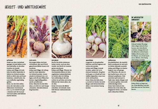 Produktbild: In den Garten, fertig, los!