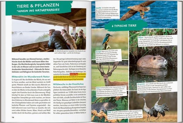 Produktbild: MARCO POLO OUTDOOR GUIDE Reisef&uuml;hrer Mecklenburgische Seenplatte