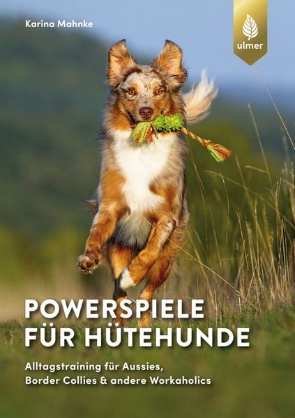 Produktbild: Powerspiele f&uuml;r H&uuml;tehunde