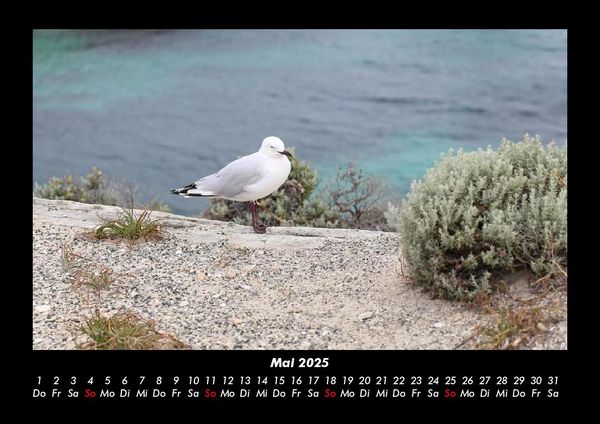 Produktbild: Die Seen der Erde 2025 Fotokalender DIN A3