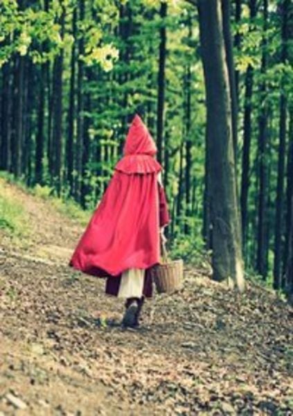 Märchenland / Die vierte Schwester, Taschenbuch von Dietrich Wölkert, Epubli, 9783750261327