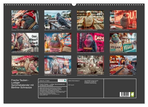 Produktbild: Freche Tauben - Lustiger Spr&uuml;chekalender mit Berliner Schnautze (Wandkalender 2026 DIN A2 quer), CALVENDO Monatskalender