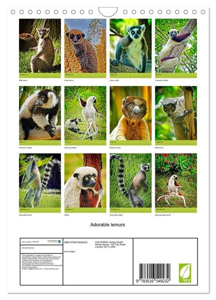 Produktbild: Adorable lemurs (Wall Calendar 2026 DIN A4 portrait), CALVENDO 12 Month Wall Calendar