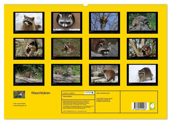 Produktbild: Waschb&auml;ren (hochwertiger Premium Wandkalender 2027 DIN A2 quer), Kunstdruck in Hochglanz