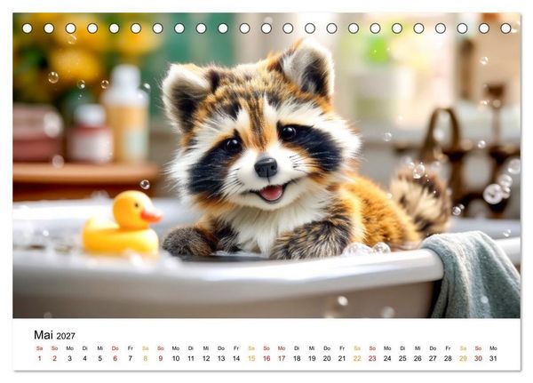 Produktbild: Waschb&auml;ren - Klein. Knuddelig. Herzerw&auml;rmend. (Tischkalender 2027 DIN A5 quer), CALVENDO Monatskalender