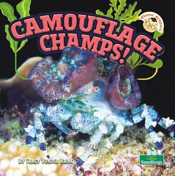 Produktbild: Camouflage Champs!
