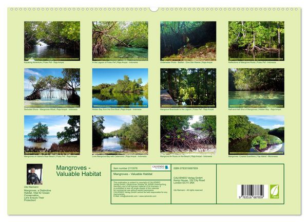 Produktbild: Mangroves - Valuable Habitat (High Quality Premium Wall Calendar 2026 DIN A2 landscape),CALVENDO 12 Month Wall Calendar