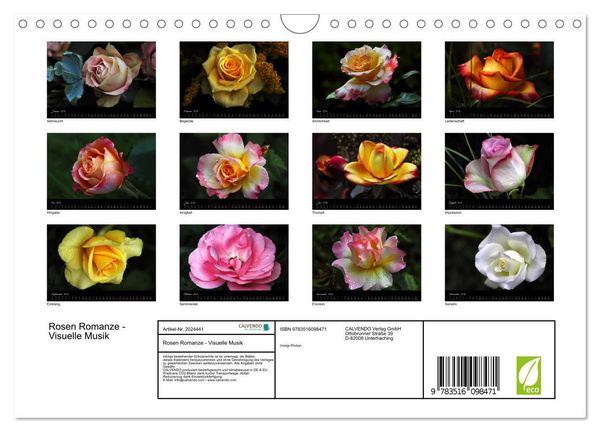 Produktbild: Rosen Romanze - Visuelle Musik (Wandkalender 2026 DIN A4 quer), CALVENDO Monatskalender