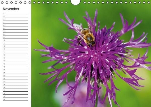 Produktbild: Ich denk an Dich ... Pers&ouml;nlicher Terminkalender (Wandkalender immerw&auml;hrend DIN A4 quer)