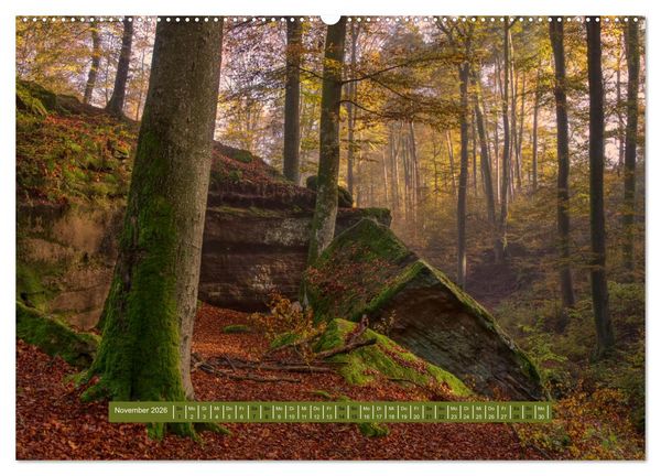 Produktbild: Magischer Pf&auml;lzer Wald (Wandkalender 2026 DIN A2 quer), CALVENDO Monatskalender