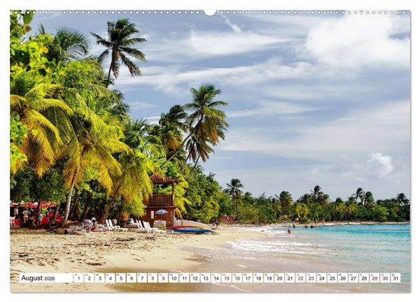 Produktbild: Martinique, die Traumstr&auml;nde (Wandkalender 2026 DIN A2 quer), CALVENDO Monatskalender
