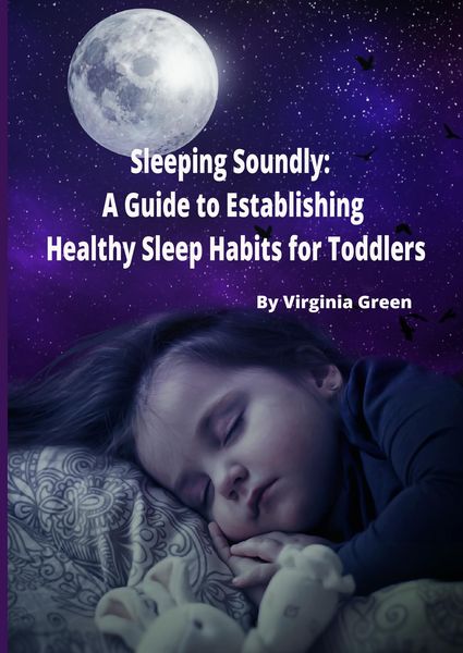 Produktbild: Sleeping Soundly: A Guide to Establishing Healthy Sleep Habits for Toddlers