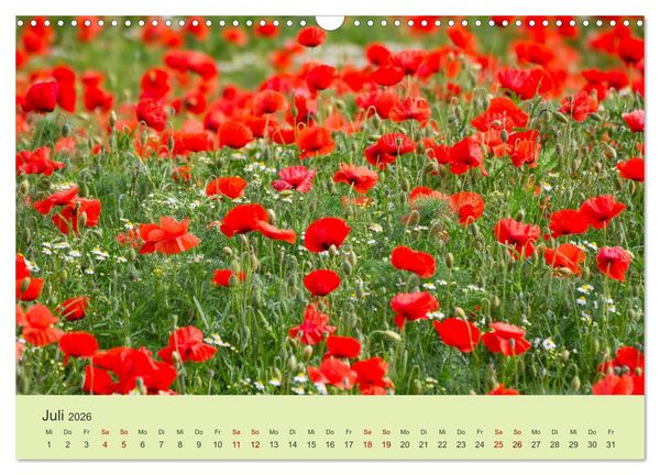 Produktbild: Wilde Blumen - ein Spaziergang durch die Natur (Wandkalender 2026 DIN A3 quer), CALVENDO Monatskalender