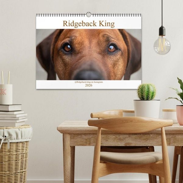Produktbild: Ridgeback King (Wandkalender 2026 DIN A3 quer), CALVENDO Monatskalender