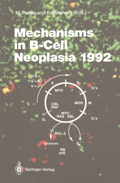 Produktbild: Mechanisms in B-Cell Neoplasia 1992