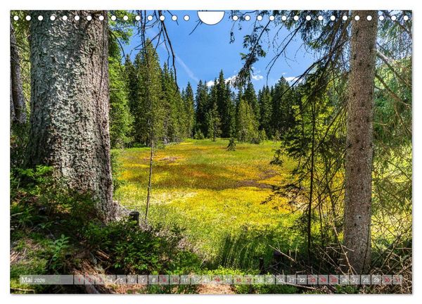 Produktbild: Vogtland - Farben einer Landschaft (Wandkalender 2026 DIN A4 quer), CALVENDO Monatskalender