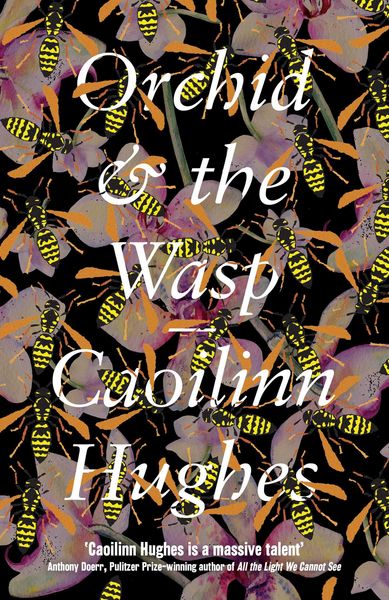 Produktbild: Orchid & the Wasp
